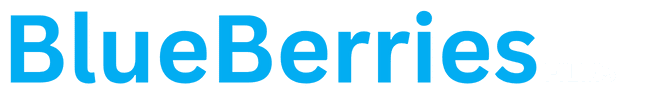 BlueBerries Films